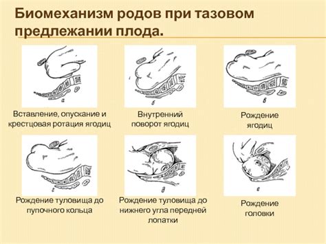 Причины возникновения нарушения адаптации плода при процессе родов