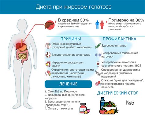 Причины гепатомегалии при жировом гепатозе