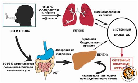 Проблемы с переносимостью и возможные побочные эффекты