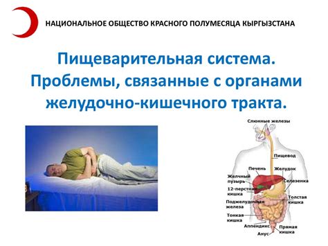 Проблемы с работой желудочно-кишечного тракта