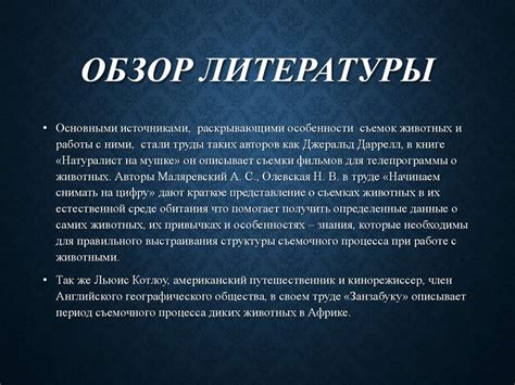 Проведение обзора академической литературы и выявление научного новшества