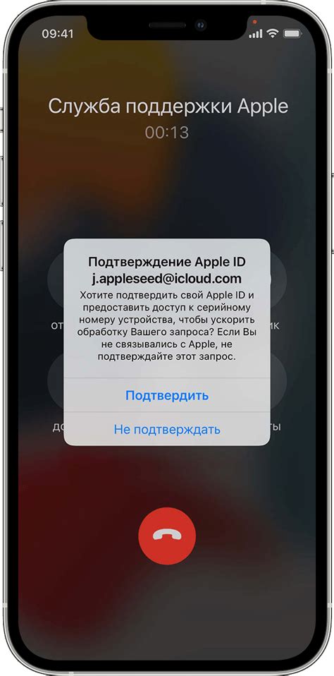 Проверка идентификационного кода с помощью приложения службы поддержки Apple