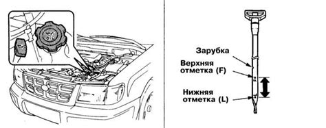 Проверка уровня жидкостей после доступа к моторному отсеку