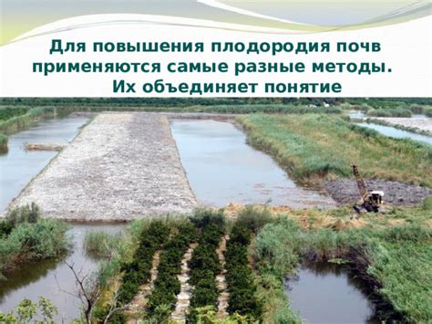 Прогрессивные методы поддержания плодородия почв на Камчатке