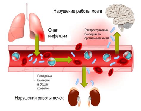 Продукция воспалительных цитокинов