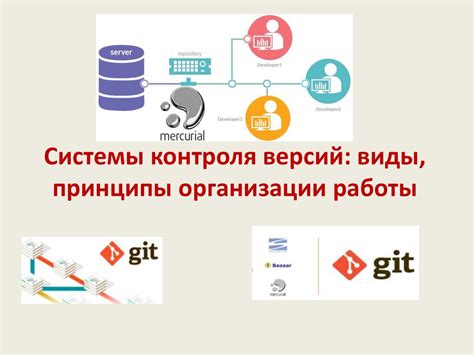 Прозрачность и ответственность: основополагающие принципы контроля в организации