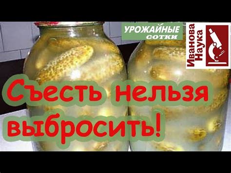 Происхождение ботулизма в маринованных огурцах