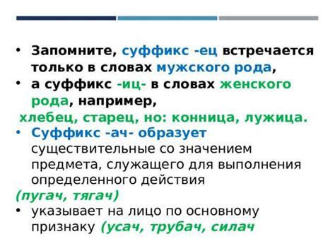 Происхождение и эволюция суффикса "ачк" в русском языке