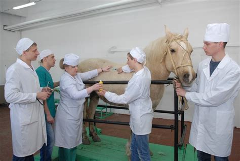 Профессиональное образование в ветеринарной сфере