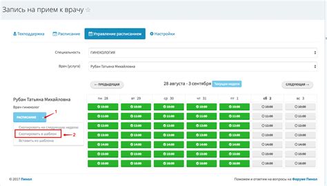 Профессиональное расписание и специализация врача-терапевта