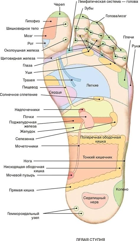 Профилактика возникновения красненьких участков и зуда на стопе