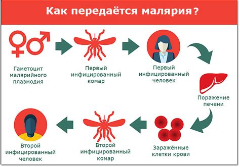 Профилактика и контроль малярии в эпидемических областях