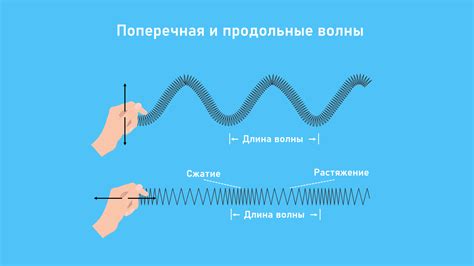 Профиль продольных волн: особенности и характеристики