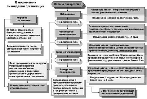 Процедура банкротства: изучение стадий и последствий для организации