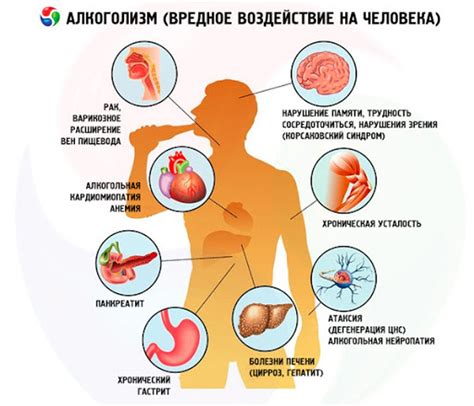 Процессы, активируемые организмом после употребления алкогольных напитков