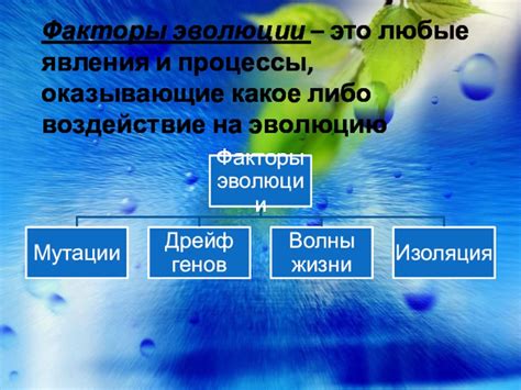 Процессы, оказывающие воздействие на эволюцию фигуры в течение жизни