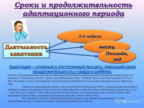 Процесс адаптации к совместной жизни и решение повседневных вопросов