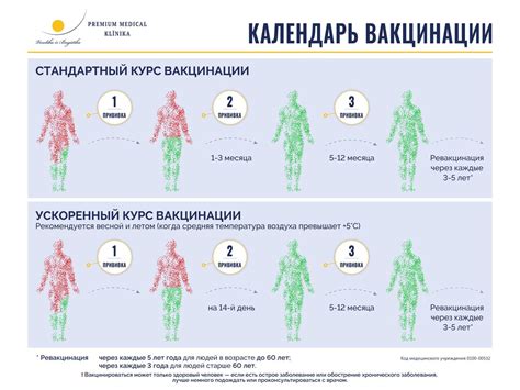 Процесс защиты от клещевого энцефалита: основные этапы вакцинации