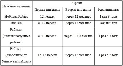 Процесс проведения вакцинации от бешенства у детей