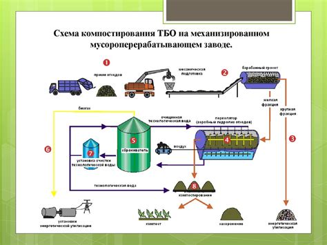 Процесс сбора и переработки уникального природного материала