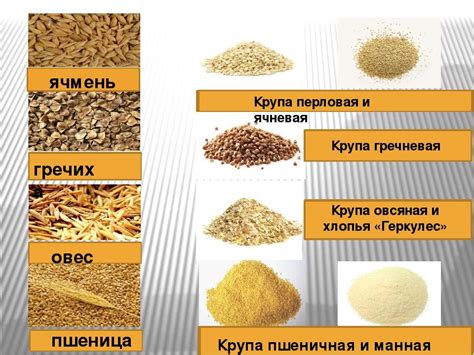 Процесс создания овсяных плиток из ячменя, богатого питательными веществами