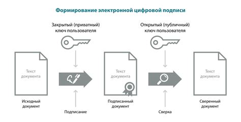 Процесс создания фотографий и подписания нужных документов