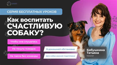 Проявление радости: как распознать счастливую собаку?