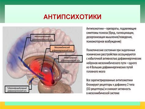 Психиатрические учреждения-пенитенциарные: заключенные, страдающие психическими расстройствами