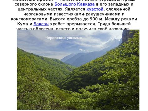 Пустынные прерии Монтаны: поиск скунсов между ракушечниками и колючим кустарником