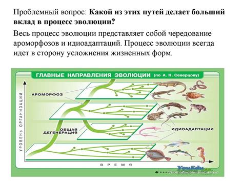 Пути достижения рынка в Турунче