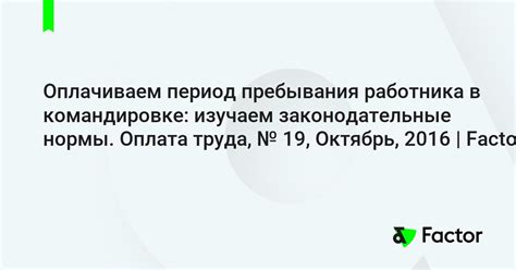 Работа и отдых в командировке: как соблюдать нормы пребывания