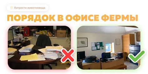 Работа с классом и поддержание порядка в классе