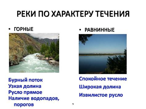 Равнинные и мокрашоватые угодья: привлекательное пристанище для неукротимых медвежат