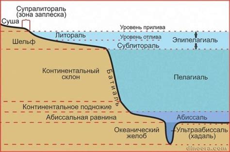 Разведка глубин океанического мира