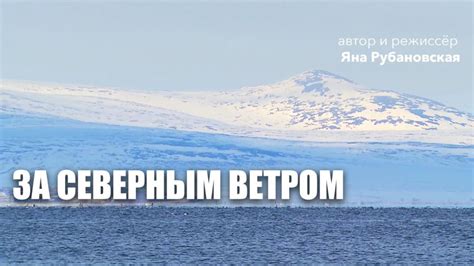 Развитие арктических территорий: новые возможности для городостроительства