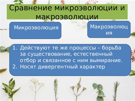 Развитие или вымирание в период антропоцена: отбор среди видов