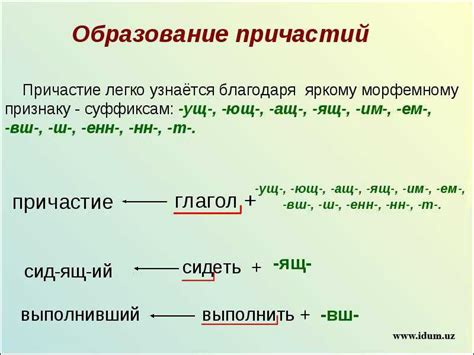 Развитие и формирование причастий совершенного и несовершенного вида: отображение активности и временной характеристики