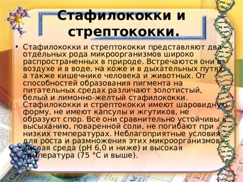 Развитие микроорганизмов и условия их размножения при натуральной температуре