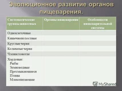 Развитие функций пищеварительной системы у младенцев