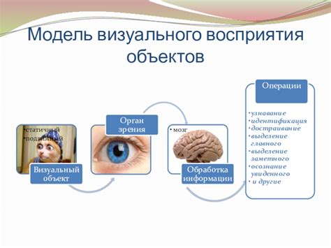 Развитие эффективности усвоения информации с помощью визуального восприятия