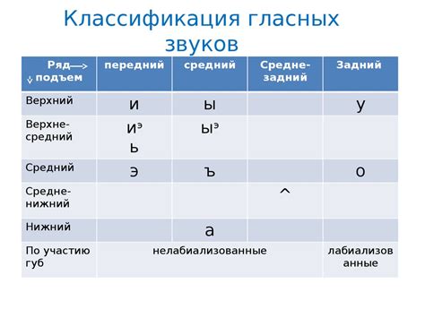 Раздел: Звуковые особенности русского языка