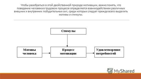 Различение внутренних побудительных сил у Базарова