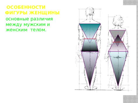 Различия между длиной ноги и выступом бедра у мужчин и женщин