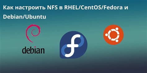 Размещение файлов PPD в CentOS и Fedora: местоположение и методы обнаружения
