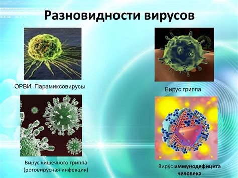 Разнообразие анализов и их значимость в выявлении вирусных инфекций