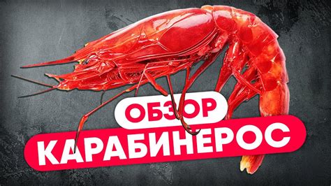 Разнообразие мест для экономного искушения деликатесных морепродуктов в Симферополе