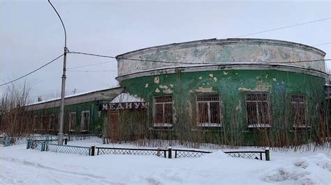 Разнообразие мест пребывания бездомных псов: открытые пространства, городские улицы, заброшенные здания