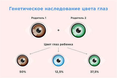 Разнообразие окраски глаз и ее генетическое происхождение