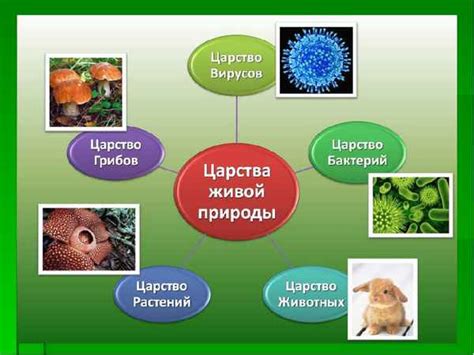 Разнообразие паразитической природы: от мельчайших организмов до крупных хищников