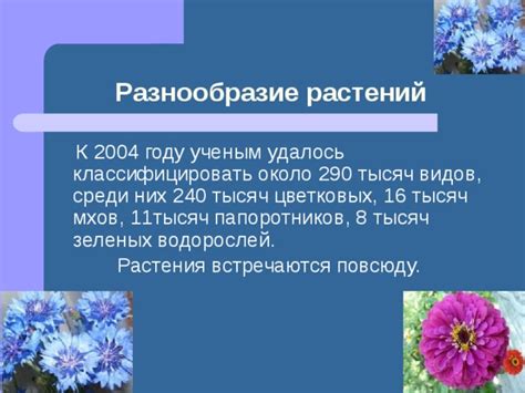 Разнообразие растений, среди которых встречается макадамия